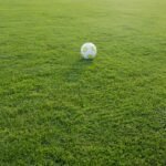 Mengulas Performa PSSI SUKABUMI di Liga Lokal